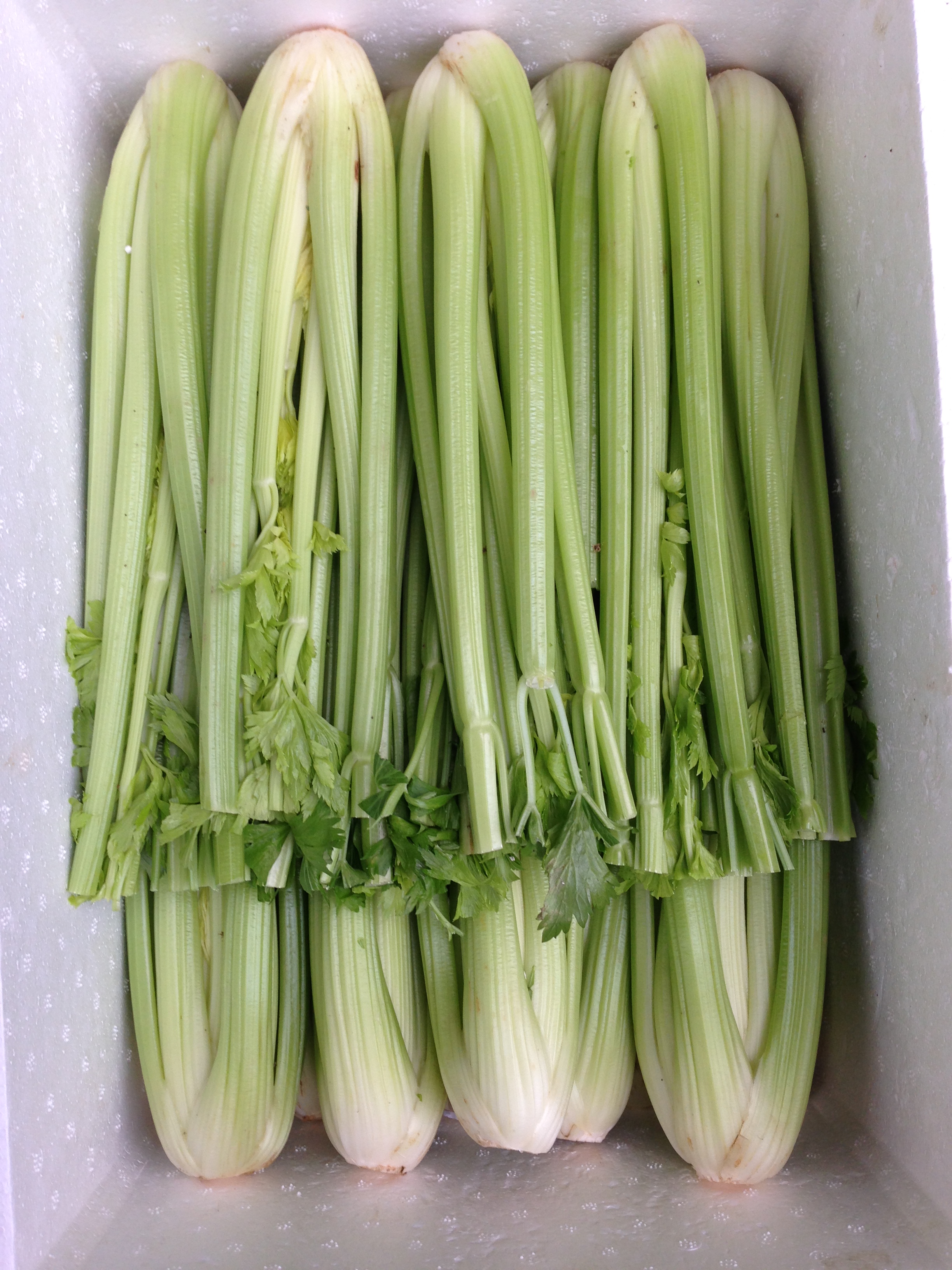 西芹菜
